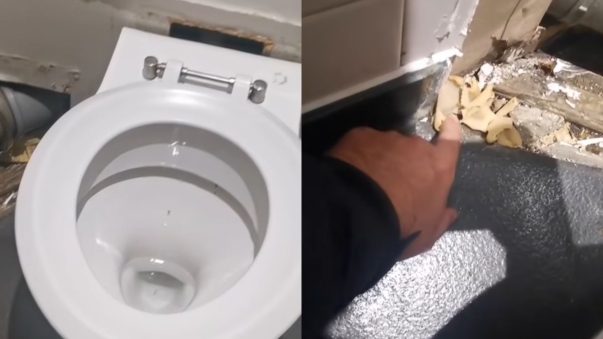 W toalecie zobaczył jadalne grzyby 