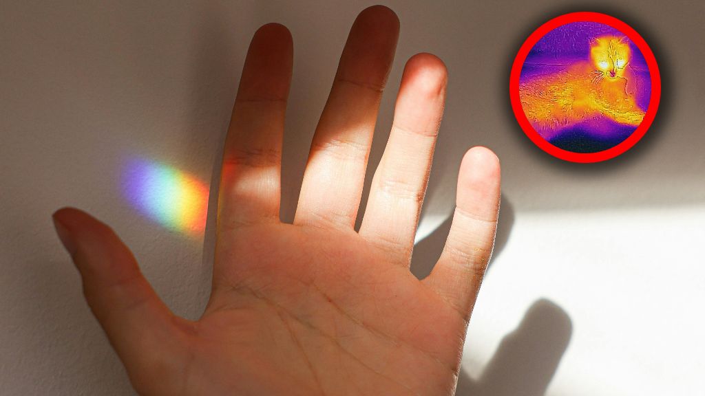 Żywe organizmy emitują specjalne światło