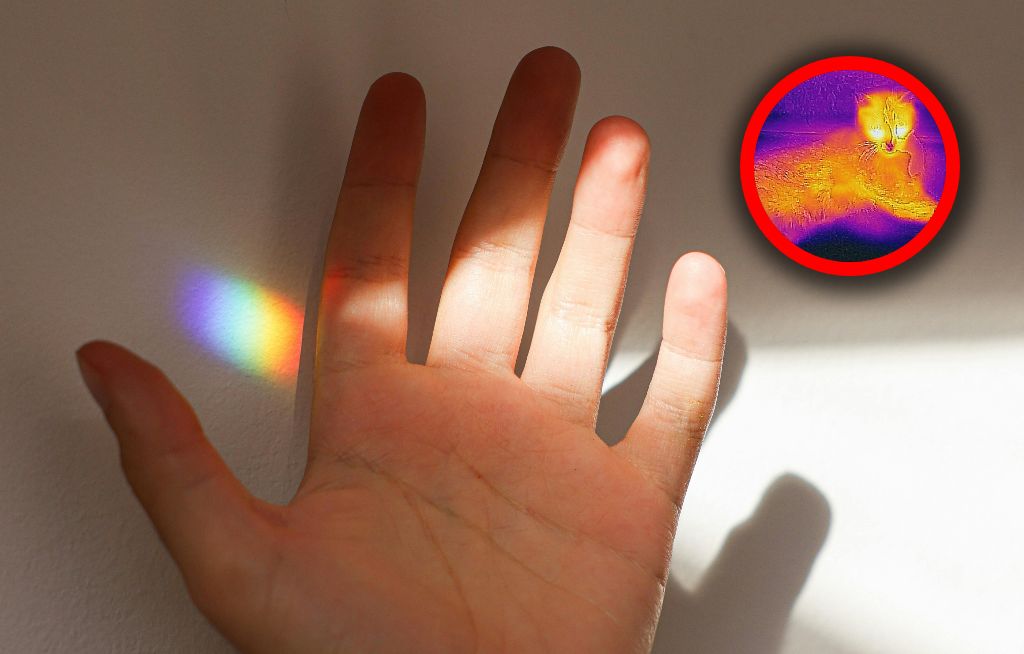 Tajemnicze światło życia. Zanika, gdy żywe organizmy umierają