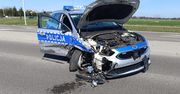 Lubelskie: Groźny wypadek w Radawcu Dużym. Volkswagen zderzył się z radiowozem