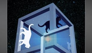 Kobieta do zadań specjalnych