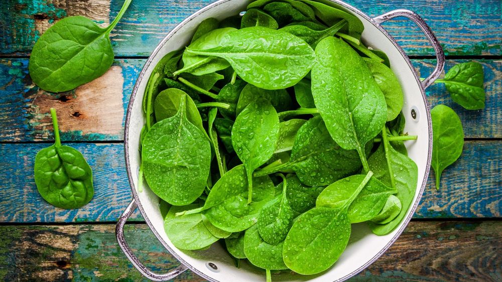 Szpinak to bardzo zdrowe warzywo, które warto na stałe umieścić w diecie.