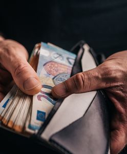 15 tys. zł kary za niezgłoszenie dużej gotówki. Wylądowali w Polsce, wybrali zły korytarz