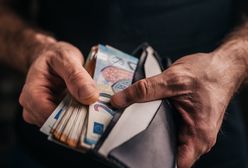 15 tys. zł kary za niezgłoszenie dużej gotówki. Wylądowali w Polsce, wybrali zły korytarz