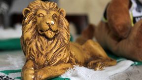 Włókniarz przedstawi nowe logo. Wróci lew