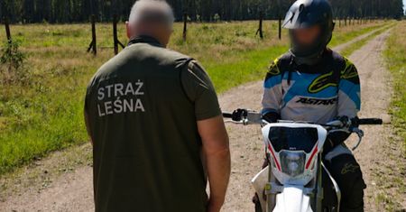 Kontrole w lasach. Straż Leśna wystawia mandaty
