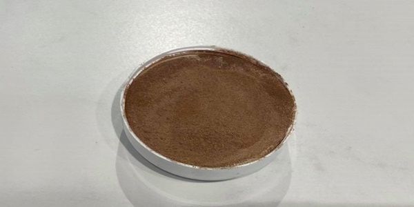 Bronzer