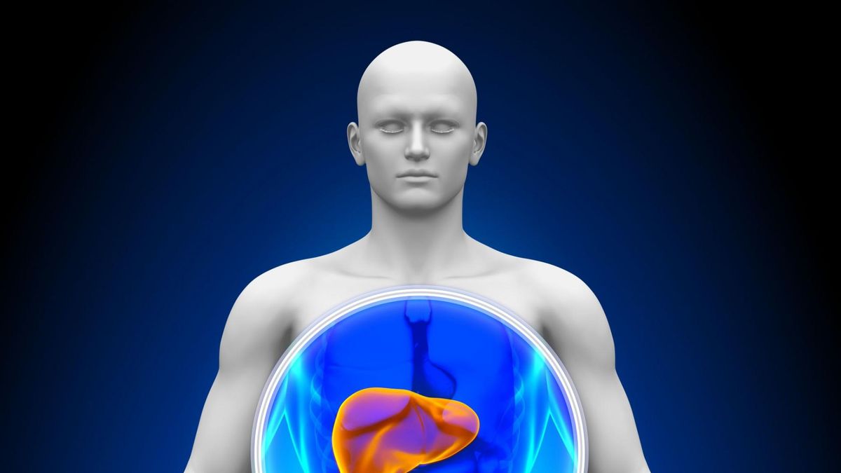 Polacy mają problem z określeniem, gdzie znajduje się wątroba