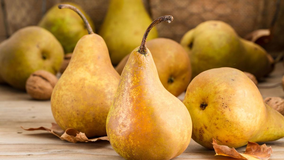 Św. Hildegarda zalecała jedzenie musu na bazie gruszek