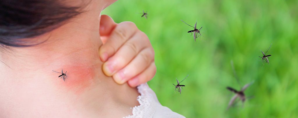 Uczulenie na komary objawia się opuchlizną i bąblem z płynem surowiczym