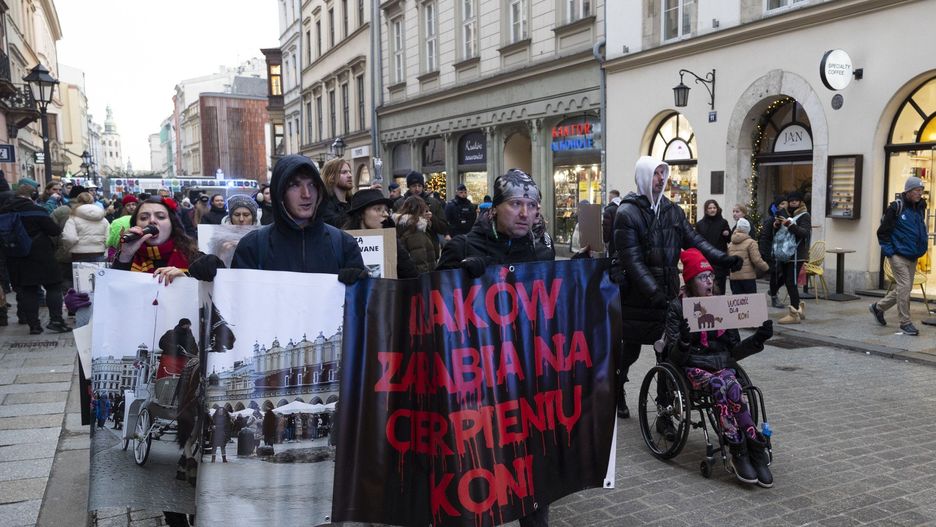 W Krakowie odbył się protest przeciwko dorożkom i wykorzystywaniu koni.
