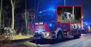 Próbował ominąć sarnę, rozbił samochód na drzewie. Dramatyczny wypadek