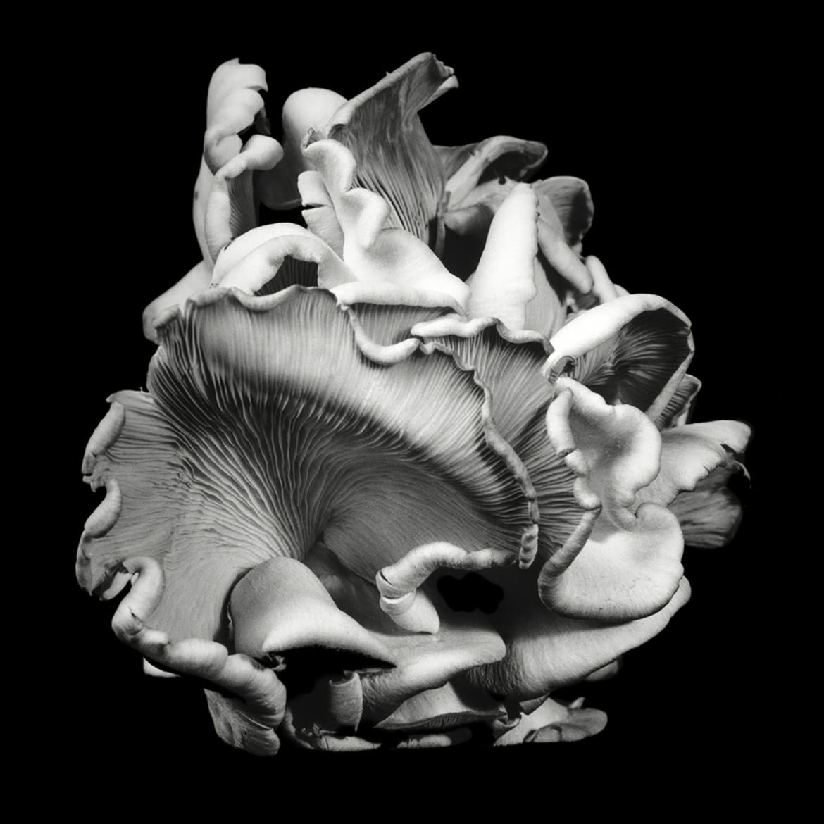 MonoVisions Photography Awards 2017. Polacy nagrodzeni wśród mistrzów fotografii czarno-białej 7
