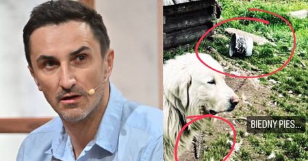 Sebastian Karpiel-Bułecka w ogniu krytyki za zdjęcie psa na łańcuchu. "Weź się pan sam przypnij do tej budy!" (FOTO)