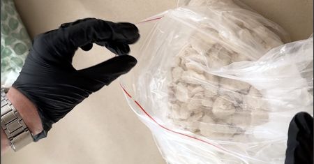 Duża akcja służb w stolicy. Policja zatrzymała 24 osoby