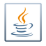 Java SE Runtime Environment icon