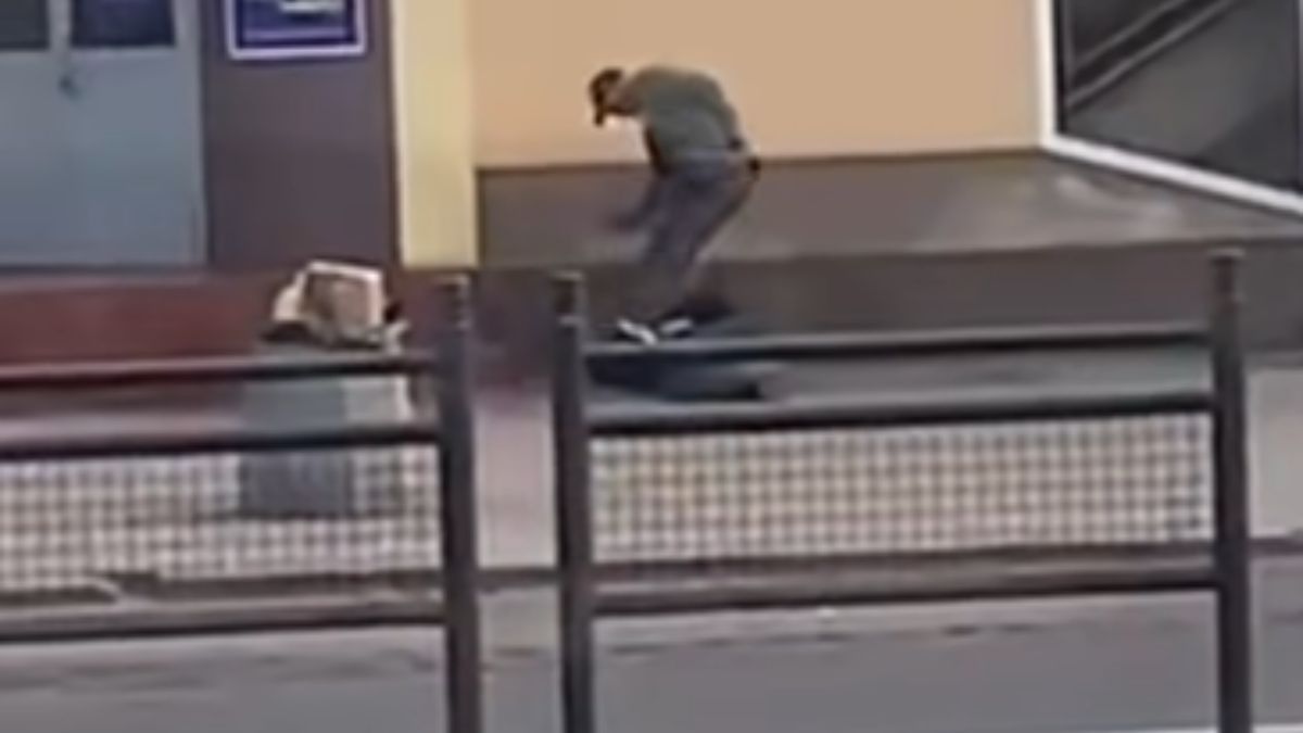 Bestialski atak w Stargardzie.