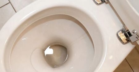 Wysmaruj tym sedes. Po chwili będzie lśnić jak w hotelu