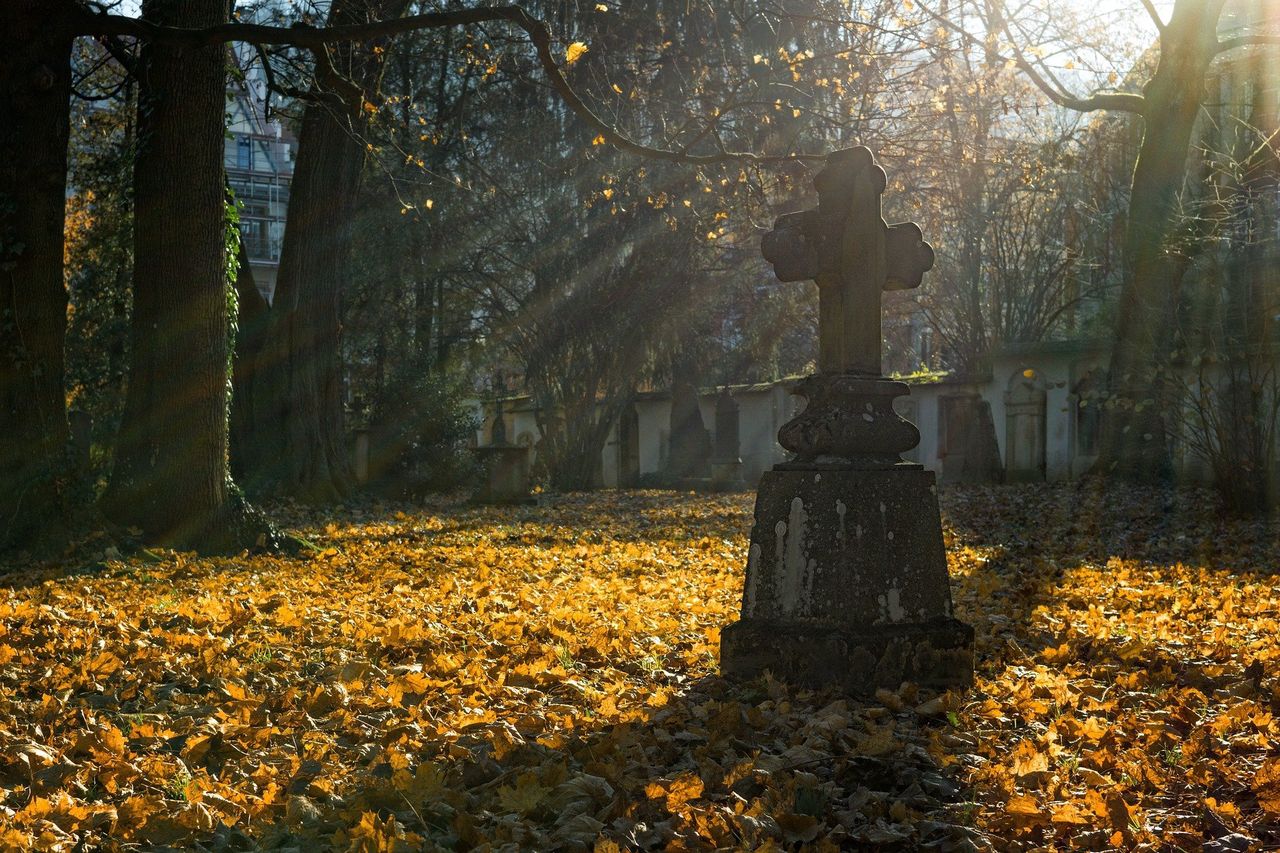 Wypadek na cmentarzu. Nagrobek przygniótł dziecko