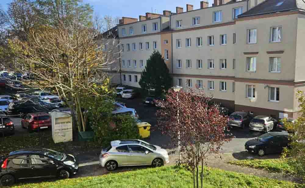 Zielona Góra: To już jest parko-terror (LIST I ZDJĘCIA CZYTELNIKA)