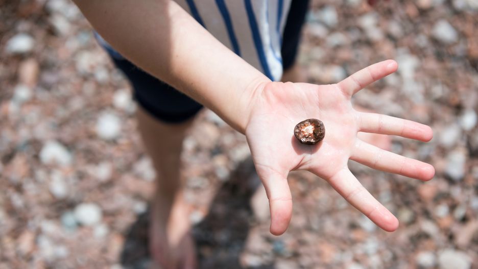 W akcji uczestniczyło ok. 500 osób (zdj. ilustracyjne)