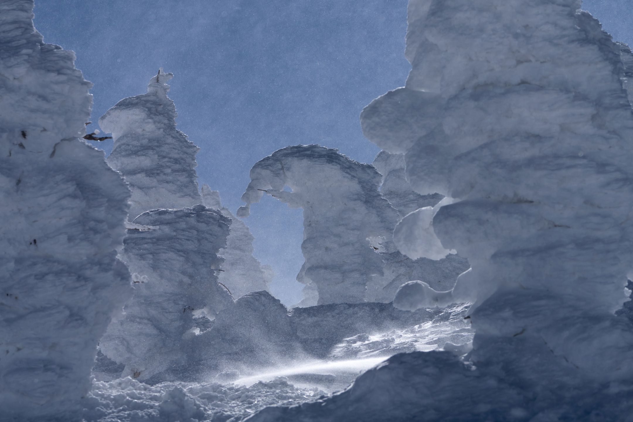 YAMAGATA, JAPAN - FEBRUARY 13: Snow-covered trees, known as "snow monsters" or "Juhyo" in Japanese, are seen on Mount Zao on February 13, 2024 in Yamagata, Japan. The area is one of the few places globally where the right combination of snow, strong winds, and low temperatures traps trees in layers of snow and ice, forming the unique shapes of snow-covered trees. Researchers reported last year that the distribution range of the "snow monsters" is shrinking due to global warming. (Photo by Tomohiro Ohsumi/Getty Images)