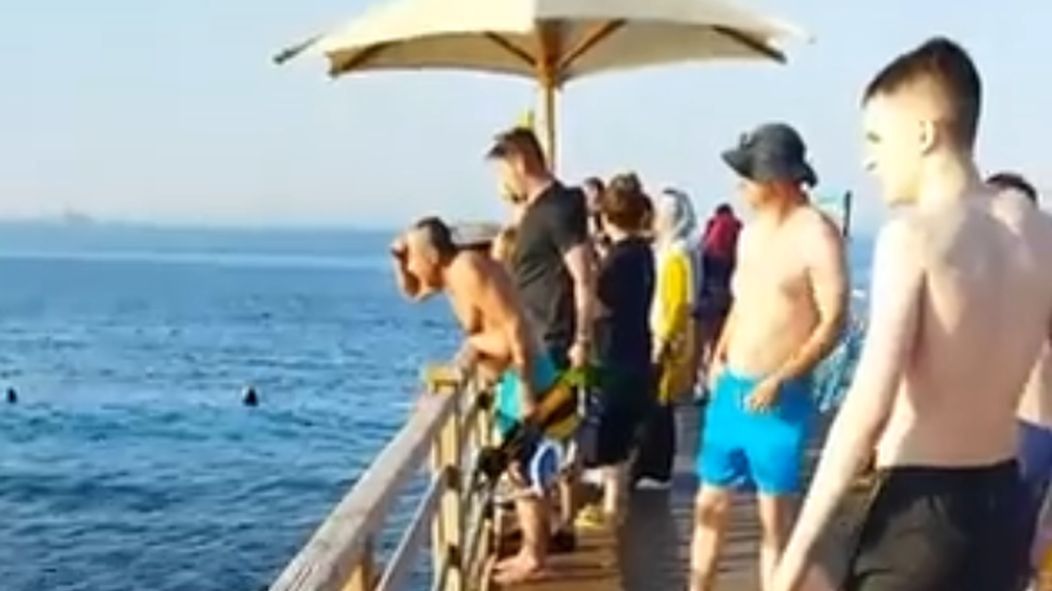 Rekiny zabijają w Egipcie. Biuro podróży uspokaja Polaków