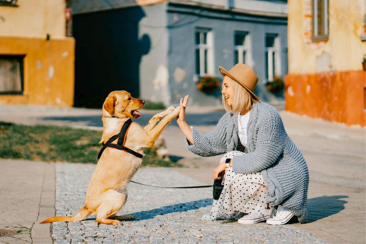 Akcja w Lublinie to bardzo innowacyjny pomysł na śmierdzący problem. 