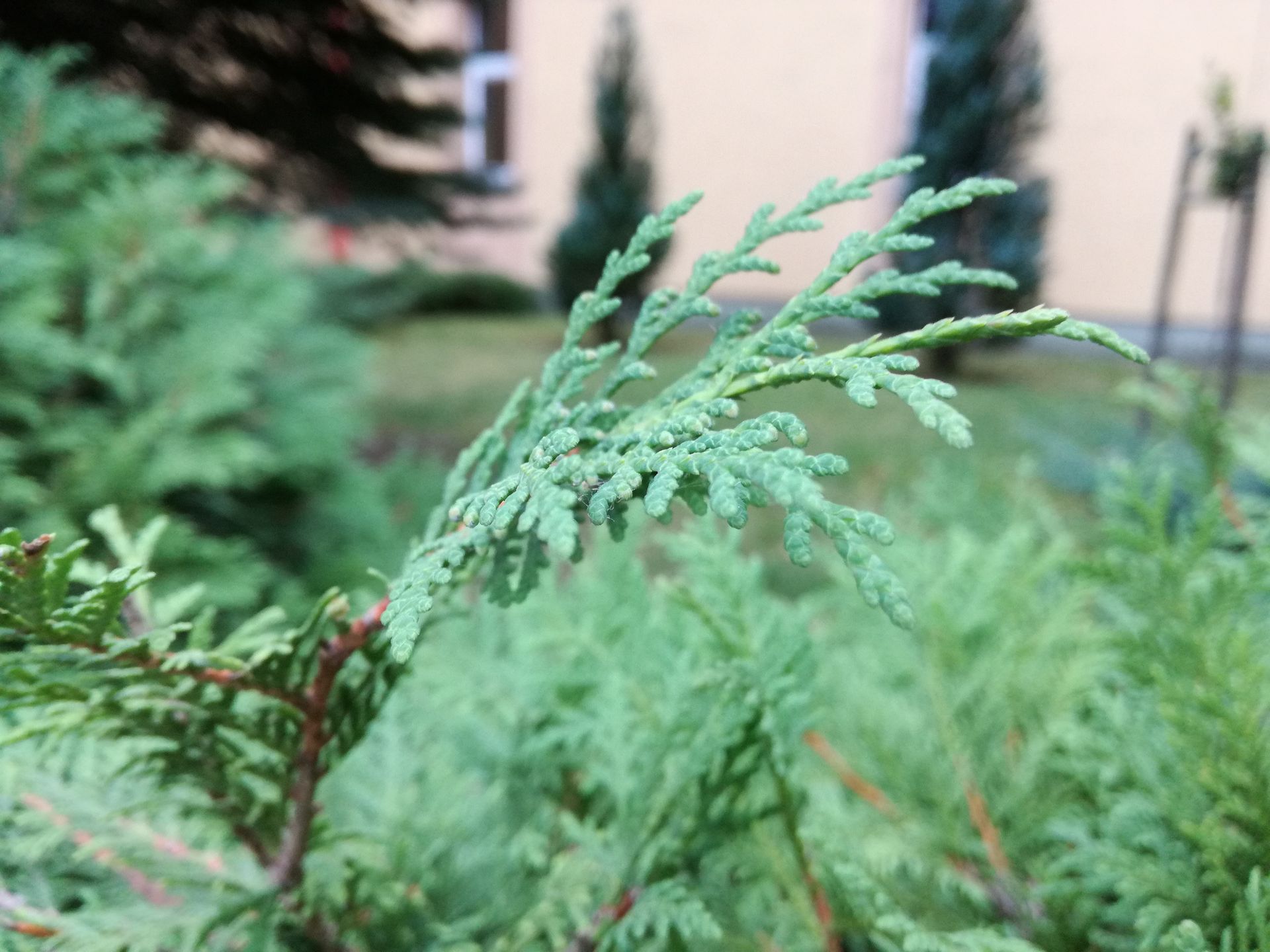 Huawei P9 lite to gwarancja dobrze wydanych pieniędzy [Test i recenzja] 45