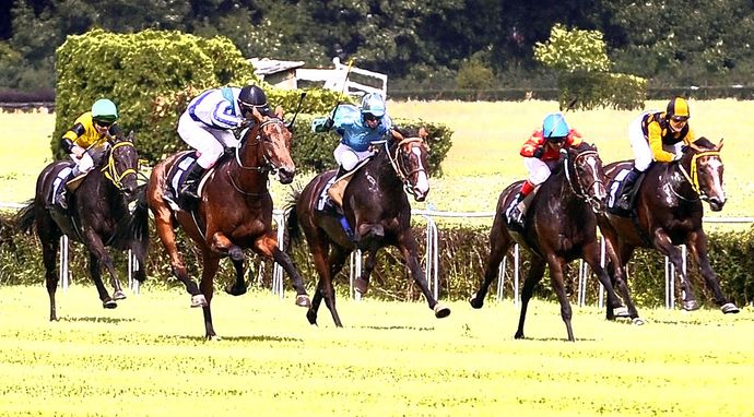 Wyścigi konne: Qatar Racing British Champions Day