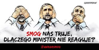 Zanieczyszczenie środowiska w Polsce. Greeenpeace krytykuje ministerstwo środowiska