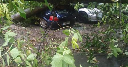 Powalone drzewa, zniszczone samochody, połamane gałęzie. Lublin liczy straty po nawałnicy