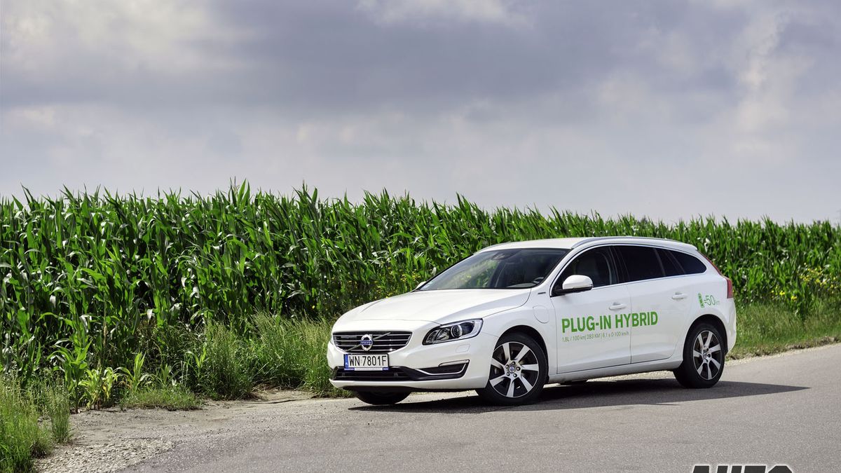 Zdjęcie ilustracyjne do artykułu