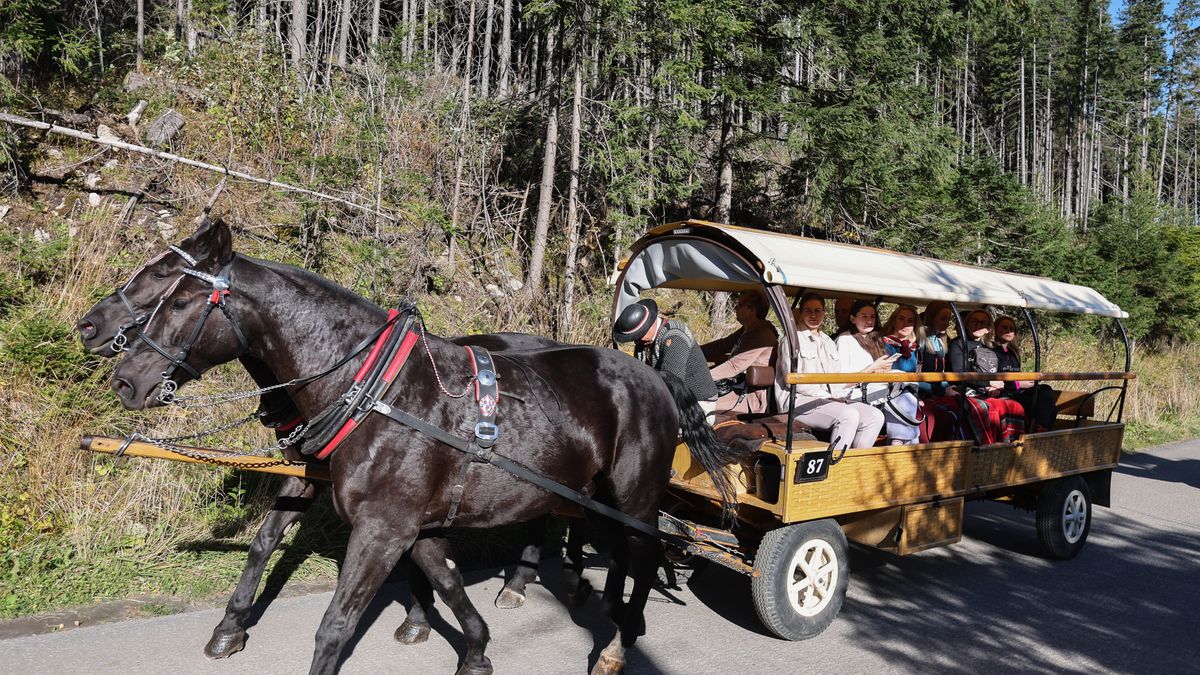 W majówkę głośno było o koniu, który wywrócił się w drodze z Morskiego Oka