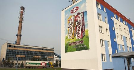 Mlekovita zakończyła rok rekordowymi przychodami