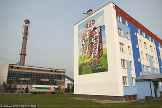 Mlekovita zakończyła rok rekordowymi przychodami