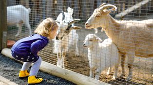 Poddębice: Tłumy dzieci i rodzin odwiedziły Zoo Borysew