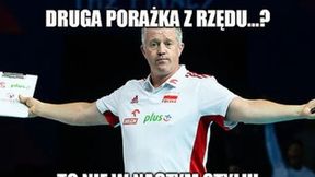 Mistrzostwa Europy siatkarzy. "W Tokio będzie złoto!". Zobacz memy po sukcesie Biało-Czerwonych