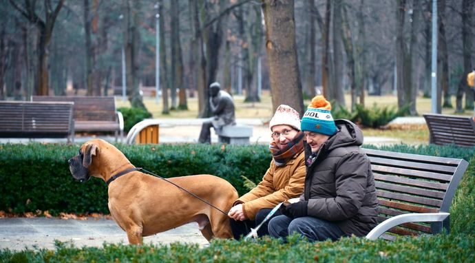Piękni i bezrobotni