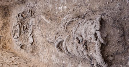 Odkrycie archeologów w Izraelu. To grób ascety sprzed 1,5 tys. lat