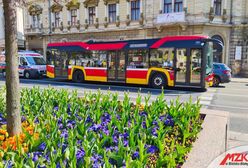 Bielsko-Biała. Będą nowe autobusy, przetarg roztrzygnięty