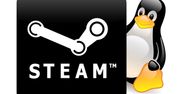 To chyba było oczywiste: Valve Steambox wykorzysta Linuksa. Premiera w 2013 r.