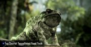 CryTek pręży muskuły. Piękny zwiastun prezentujący możliwości ich nowego silnika