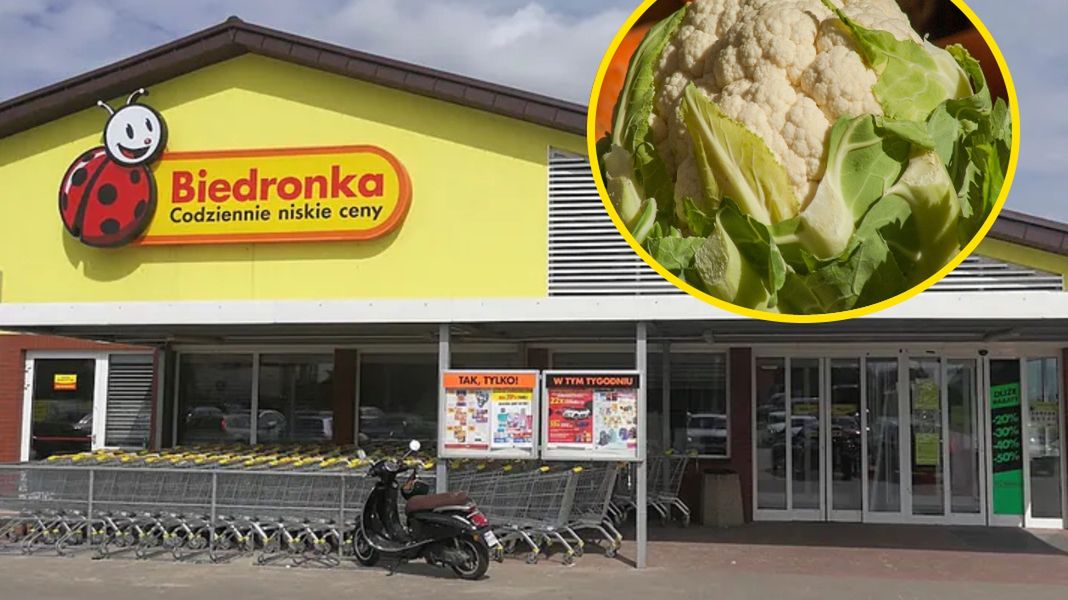 Biedronka zaproponowała rozwiązanie dla oszczędnych 