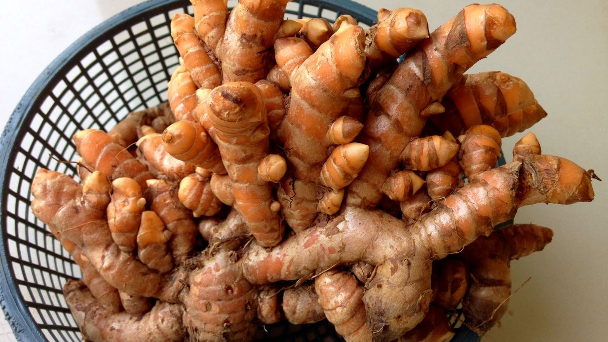 Kurkuma usuwa pasożyty