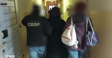 Kolejne zatrzymania ws. wyłudzeń w klubach go-go. Trzy osoby aresztowane
