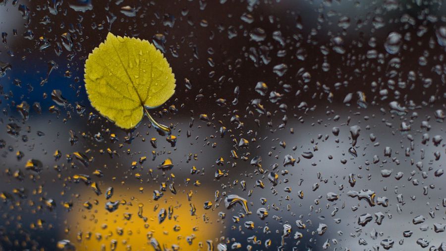 Deszczowy niż nad Polską. Uwaga na silny wiatr! 