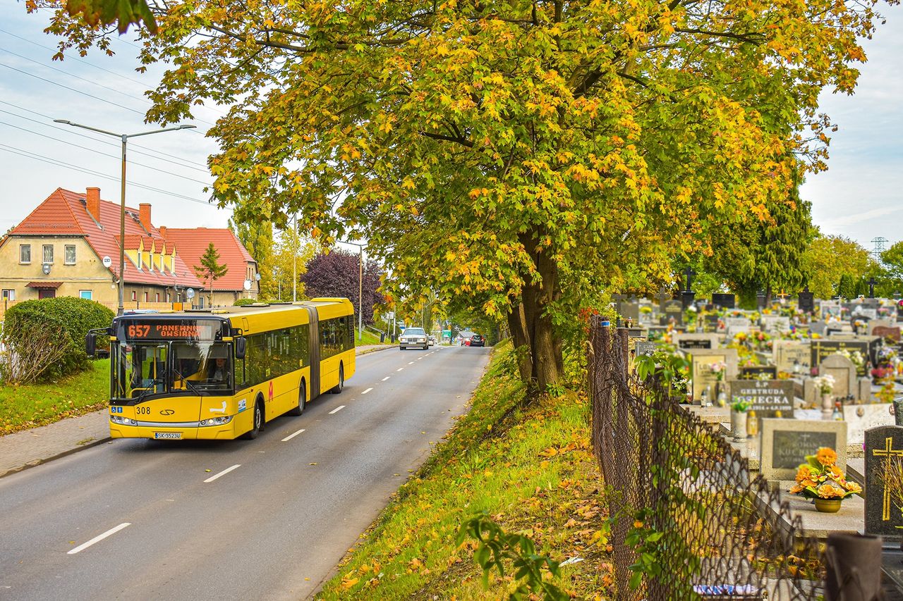 We Wszystkich Świętych komunikacja na terenie metropolii będzie darmowa.