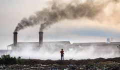 Do 2050 roku mniej niż 10 proc. lądu pozostanie wolne od śladów ingerencji człowieka