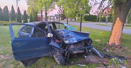 Kierowca zjechał z drogi, uderzył w drzewo i ogrodzenie - poważny wypadek w Bielsku
